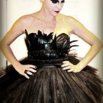 Black Swan Costume
