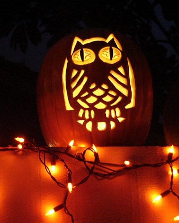 Owl Pumpkin