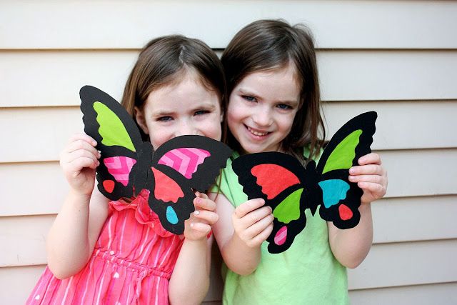 Butterfly craft