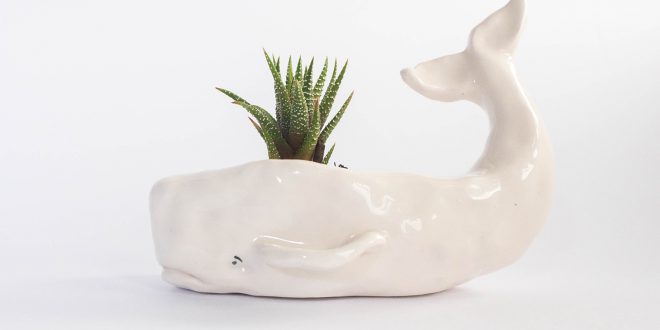A Special White Whale Planter